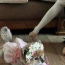 까치스튜디오 이미지