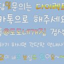 도도네 개집 이미지