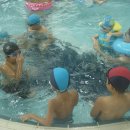 어린이대공원수영장 이미지