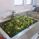 자매돌산갓김치 이미지