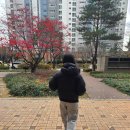 리따영어