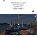 제주수산어벤져스 이미지