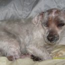 외동사거리　 이미지