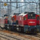 신창무궁화(아) 이미지