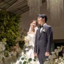 호텔프렌치코드비(B) | W22. 더링크호텔 밝은 홀 본식스냅 추천 🕊️ 비마이비비의 맑고 깨끗한 색감에 반했어요!