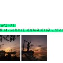원더풀여행사 이미지