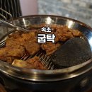 속초 해수욕장 근처 맛집 굽탁 본점 인생 돼지갈비 맛집 청초호 구경까지