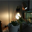 디자인벤트