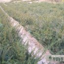 두학농장 이미지