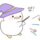제이홍뷰티