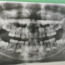 미사리더스치과의원 이미지