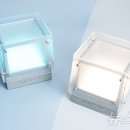 빛의 숲 이미지