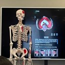 모두광고 | 필라테스 지도자 자격증 국비지원 못 받은 후기 자격증 취득 과정 모두 공개!! (광고X)