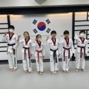 성용 태권도 이미지