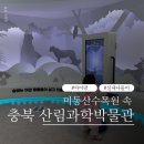 충북교육박물관 | 청주 산림과학박물관 후기｜아이랑 실내 가볼만한곳·미동산수목원 추천코스
