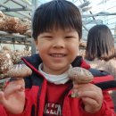 윤찬농장 이미지