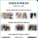 유림장례