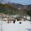 청계농장 이미지