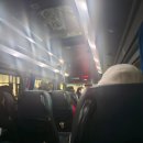 다니엘짐 | 트롬쇠 여행 3일차 오로라 flexitour 다니엘 플렉시 투어