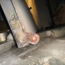 무왕로11길 이미지