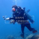 보라카이 현지 다이빙샵 가격 오션 필 다이브 Ocean Phill Guru Dive center 후기