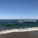 동해비치호텔 이미지