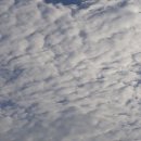 학익체육관 이미지