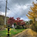 호림유격 전적비 이미지