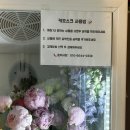 플레르드레브 이미지