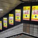 (주)애드디지털 네이버블로그