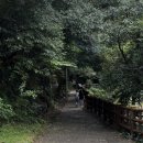UR(서귀포시)-[태위로]-하-9 | 엄마, 단둘이 제주도 여행갈래?