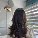 도블헤어