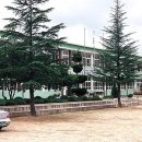 낙동면 상촌리 이미지