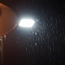 구로-구로-구로-2365 이미지