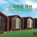 스마트큐브