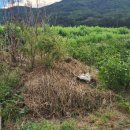 신기리농장 이미지