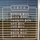 양지종합동물병원