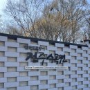 [일상] 2025 전주 벚꽃 | 벚꽃 시즌 전주 가볼 만한 곳 | 전주 수목원, 전주천 산책로 솔직 후기