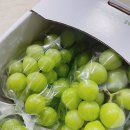 백억농장 이미지