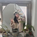 풀베개 제주여행 3,4(소규모식탁, <b>풀</b><b>베개</b>, 포도뮤지엄, 미띠뽀티하우스)