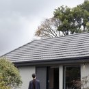 단심스테이 이미지