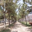 연산면 덕바위농촌체험휴양마을 이미지