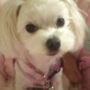 선경3차아파트 이미지