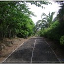 황토집민박 이미지