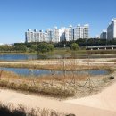 서곡마트 이미지