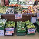 신양초등학교앞 이미지