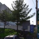 베스트에스지 이미지