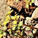 팔현2리 이미지