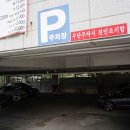부산 참치 맛집 해운대 동일참치 본점 퀄리티甲