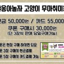 야옹아놀자 이미지